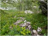 Planina Blato - Teme (Hribarice)